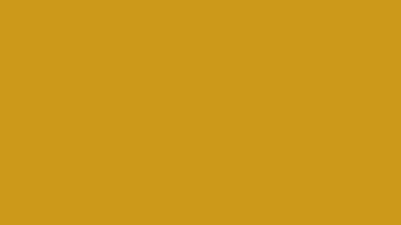 PIGMENT YELLOW 17