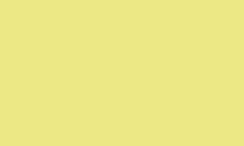 PIGMENT YELLOW 53