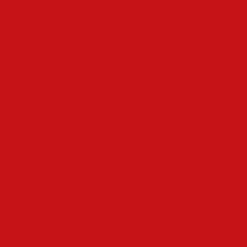 PIGMENT RED 48:2